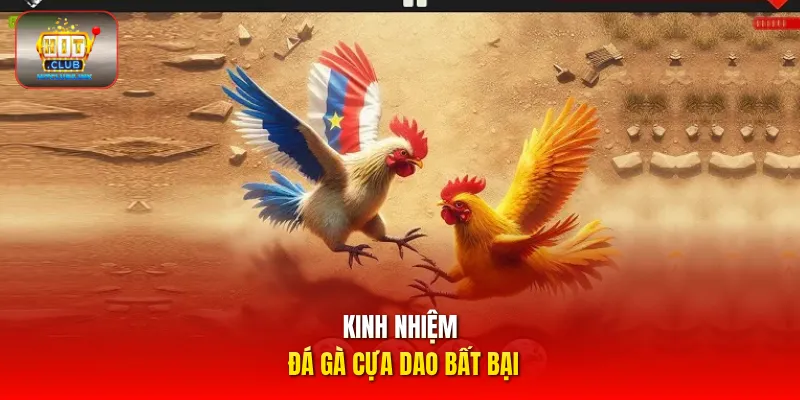 Kinh nhiệm đá gà cựa dao bất bại